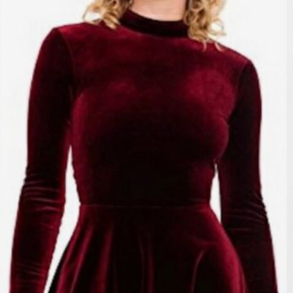 American Apparel Velvet Violette Skater Dress - Cabernet